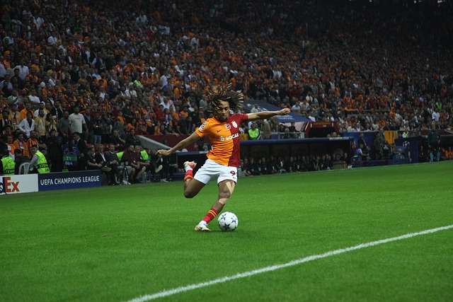 聚力的关键 聚力的关键