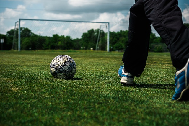 意志和出色 意志和出色